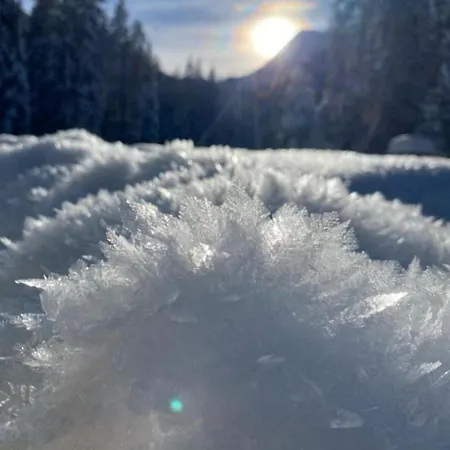 Maurer Apartment Wagrain