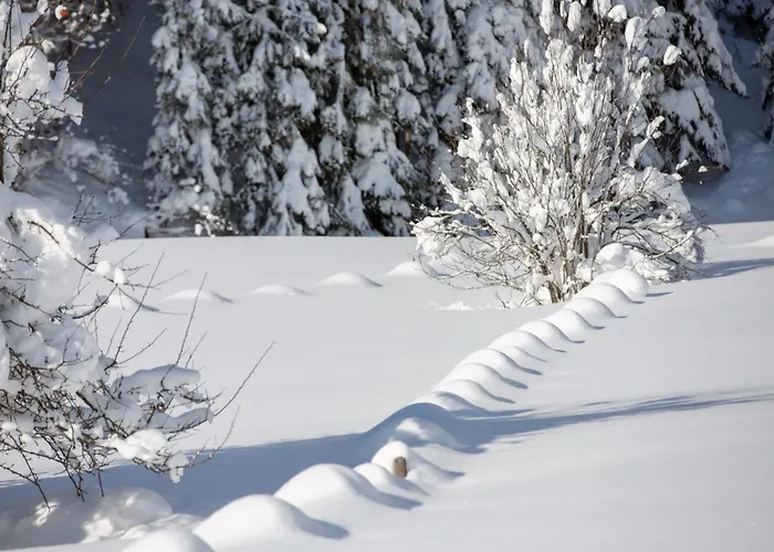 Апартаменты Landhaus Maurer *