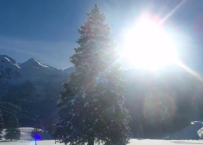 Maurer Apartamento *